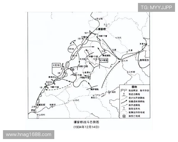 莱切足球俱乐部崛起之路：历史回顾与现代化转型探索